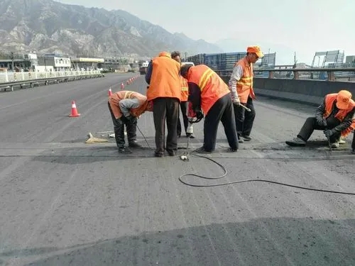 巨鹿道路桥梁病害治理